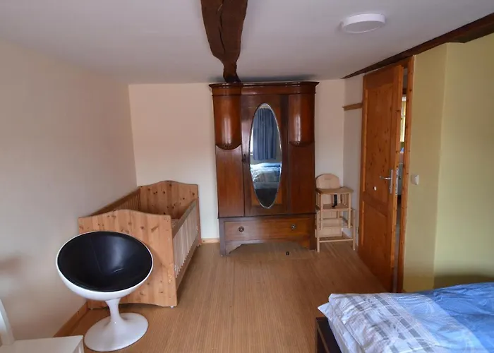 Buntspecht Witzenhausen