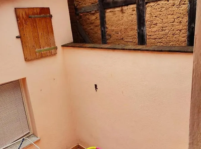 Buntspecht Apartman Witzenhausen